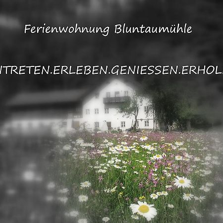 Ferienwohnung Bluntaumuehle Golling an der Salzach Værelse billede
