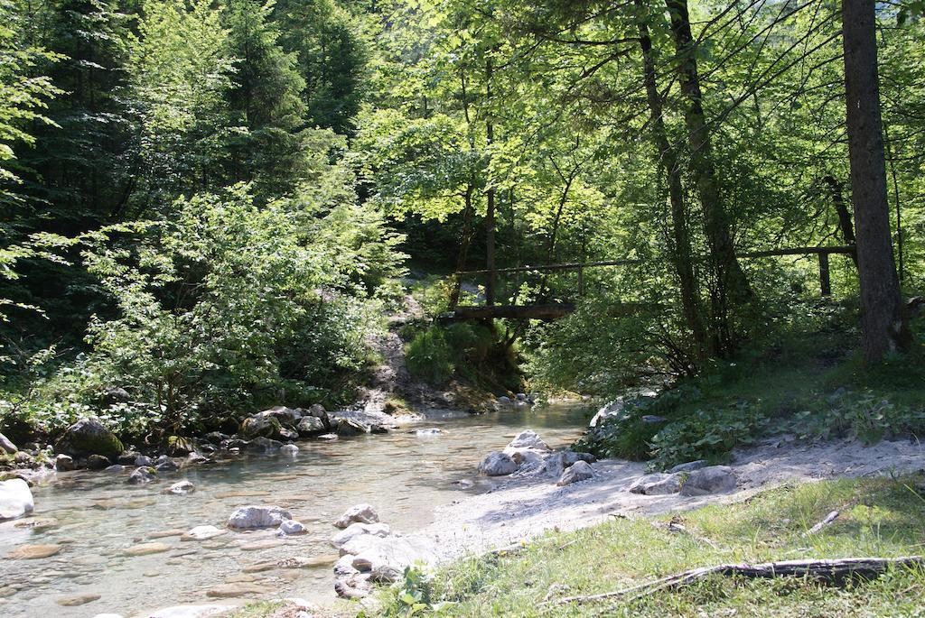 Ferienwohnung Bluntaumuehle Golling an der Salzach Værelse billede
