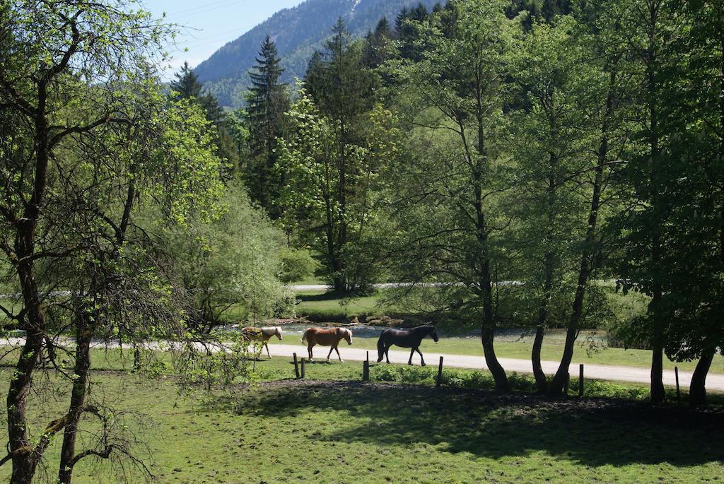 Ferienwohnung Bluntaumuehle Golling an der Salzach Værelse billede