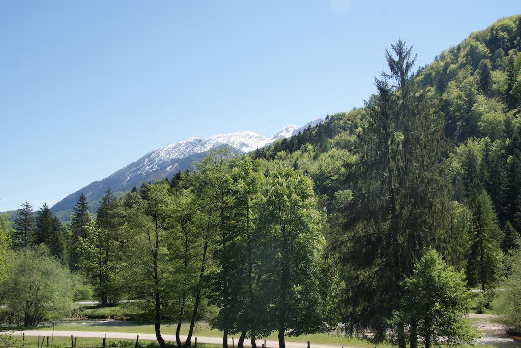 Ferienwohnung Bluntaumuehle Golling an der Salzach Værelse billede