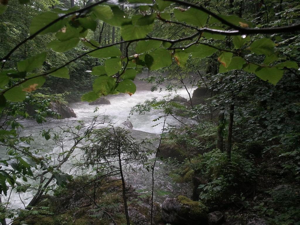 Ferienwohnung Bluntaumuehle Golling an der Salzach Værelse billede